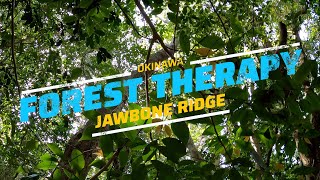 Okinawa Forest Therapy Pt2  Jawbone Ridge [upl. by Binky423]