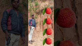 Watermelon lechi mango amp grapes funnyvfx Cartoonbhootwala [upl. by Cira]