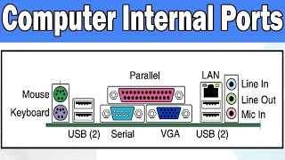 Computer Internal Ports Class 7 Chap1 P1 [upl. by Coonan]