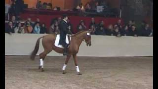 ♥ Propriano de lEbat stallion SF [upl. by Novonod]