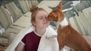 Basenji  Watch this before getting one [upl. by Danila]