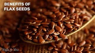 Benefits of Flax Seeds  Omega 3 Goodness  Flax Seeds for Heart Health  VentunoYoga [upl. by Mungam]