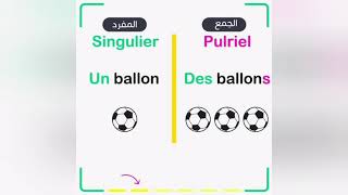 المفرد و الجمع Le singulier et le pluriel [upl. by Bore]