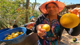 Comiendo Naranja fresca Del arbol desde Xicalcal Zacualpa El Quiche [upl. by Sansen]