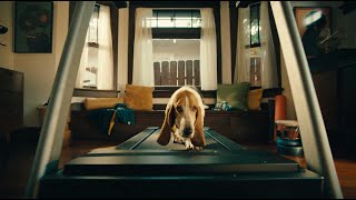 DashPass Pup – DoorDash Commercial [upl. by Einahpets]