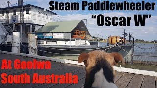 Steam Paddlewheeler quotOscar Wquot in Goolwa SA [upl. by Rancell]