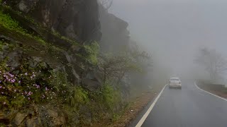 Charmadi Ghat  Horanadu  Monsoon Road Trip 4K [upl. by Medina]