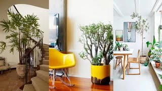 ❀ 100 IDEAS DECORACIÓN DE INTERIORES CON PLANTAS  IDEAS DECORATIVAS PLANTAS 2024 ❀ [upl. by Shipp]