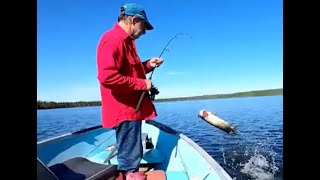 Fly in fish in Northern Ontario Blackbirch Lake 2022 [upl. by Luigino]