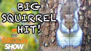 The Airgun Show  Ultimate Squirrel Hunting  Crosman Prospect PCP Review [upl. by Piderit]