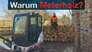 Meterholz Vor und Nachteile Brennholz in Meter warum machen wir das so firewood brennholz [upl. by Mosier]