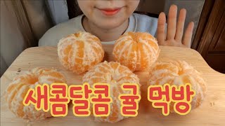 ASMR MUKBANG  귤 먹방 Tangerine eating show [upl. by Eillen]