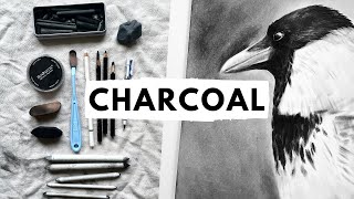 Everything I know about charcoal drawing in one video [upl. by Belshin16]