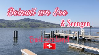 🏕Beinwil am See amp Seengen  Switzerland🇨🇭 [upl. by Alexandr718]