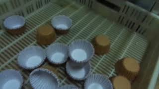 MAQUINA FABRICACION PIROTINES CUPCAKES [upl. by Adnarim]