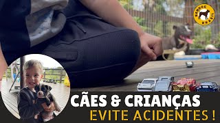 CÃES amp CRIANÇAS Evite “acidentes” [upl. by Leraj]