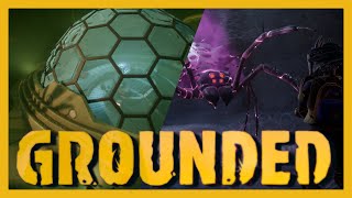 Swimming Into The Pond Lab And Infused Broodmother Grounded New Game Plus Lets Play [upl. by Gruver]