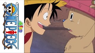 One Piece 4Kids Dub Luffy asks Chopper to join the Crew [upl. by Lela]