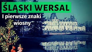 Chłodna historia PAŁACU w Świerklańcu I oznaki wiosny na Śląsku 🌺 [upl. by Nodnar]