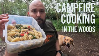 Overnight woodland bushcraft camp and cook with my dog [upl. by Nnaytsirk582]