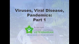 Viruses amp Viral Diseases Why Vaccines Are Not the Answer [upl. by Halullat941]