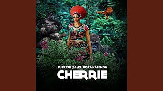 Cherrie Aliphatiks Afro Mix [upl. by Kylstra309]