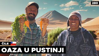 Oaza u pustinji  Farma usred surove Atakame [upl. by Pinckney699]