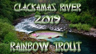 Clackamas River Trout Fishing In Estacada Oregon [upl. by Oijres]