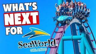 🔥 5 BURNING Questions About SeaWorld Orlandos Future [upl. by Infield]