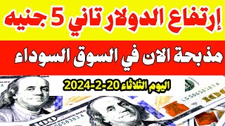 اسعار الدولار وجميع العملات في السوق السوداء اليوم الدولار اليوم الثلاثاء 2022024 في مصر [upl. by Annahsor]