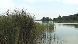 Massarosa Una falda acquifera in località Monte Niquila potrebbe far rivivere il lago [upl. by Adas]