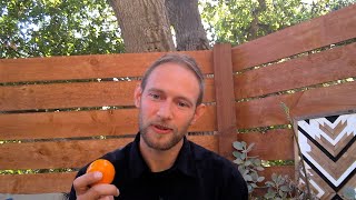 A Tangerine’s Teaching on Spiritual Ecology [upl. by Yessac516]