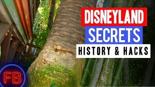 The Dominguez Tree in Adventureland  Disneyland Secrets and History [upl. by Leima384]