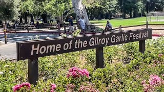 Gilroy organizers work to bring back garlic festival [upl. by Navannod]