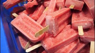 Watermelon 🍉 ice cream  watermelon qulfi  watermelon ice cream in factory watermelon popsicles [upl. by Elok]