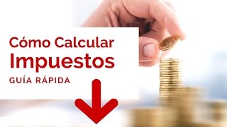 Como Calcular Impuestos Para Importar  Guia Rapida [upl. by Nipha]