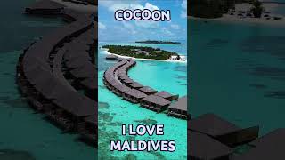 maldives cocoon [upl. by Tdnerb]