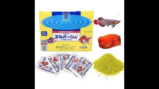 Cách sử dụng tetracyclin cho cá koi  How to use tetracycline for koi fish [upl. by Caddaric]