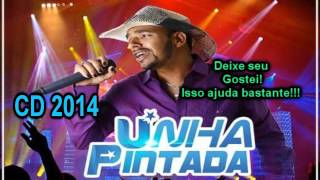 Unha Pintada Show CD 2014 Completo [upl. by Kunz927]