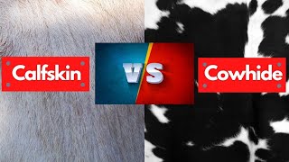 Calfskin Vs Cowhide  Which is Best amp Cheapest [upl. by Eade329]