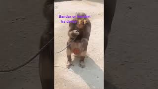 Bandar bandari ka dance 🐒🐒🐒🐒🙉🙉 [upl. by Viv]