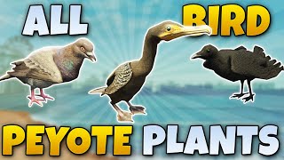 ALL BIRD PEYOTE PLANT LOCATIONS GTA 5 STORY MODE [upl. by Annaej]