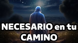 Yeshua  SOLEDAD  Una Parte NECESARIA del CAMINO  Mensaje de Jeshua por Pamela Kribbe [upl. by Siaht217]