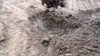 Extreme Soil Liquefaction [upl. by Ylrebnik546]