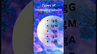 Antibody Types and Functions👍👍 [upl. by Donna]