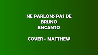 NE PARLONS PAS DE BRUNO  COVER  Encanto [upl. by Briana555]