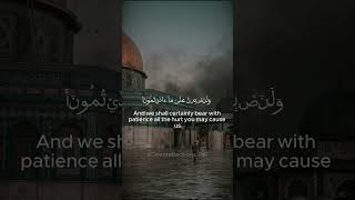 Al Minshawi Beautifull Recitation Surah Ibrahim quranrecitation minshawi aqsa tawakkul [upl. by Tiffani]