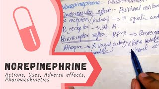 NOREPINEPHRINE  Actions Uses Pharmacokinetics adverse effects PHARMACOLOGY [upl. by Eecal382]