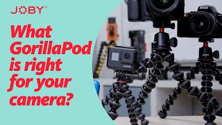 What GorillaPod is Right For Your Camera [upl. by Levona]