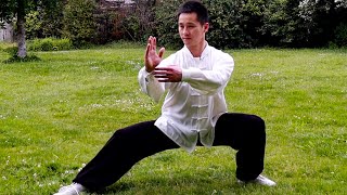 Tai Chi 42 Tutorial 四十二式太极拳 [upl. by Ativad963]